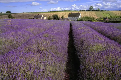 Somerset and the Cotswolds in Engeland — foto 24