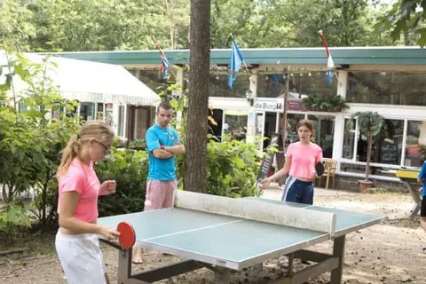 Oostappen Vakantiepark Arnhem foto 15