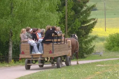 Hotel Zum Alten Brauhaus foto 16