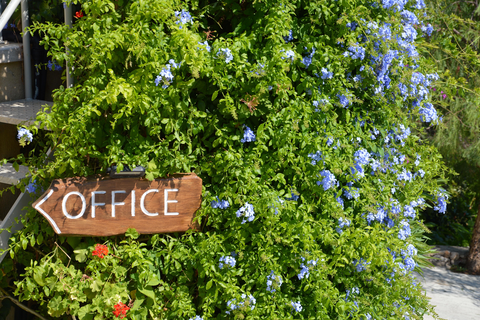 Appartementen La Riviera Barbati foto 21