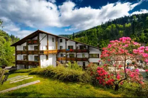 Holzschuh's Schwarzwaldhotel in Baiersbronn — foto 21
