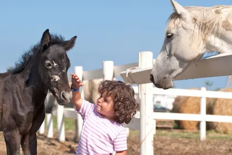 Camping Villaggio Barricata foto 37