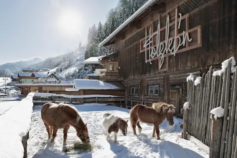 Feriendorf Holzleb'n in Viehstall — foto 9