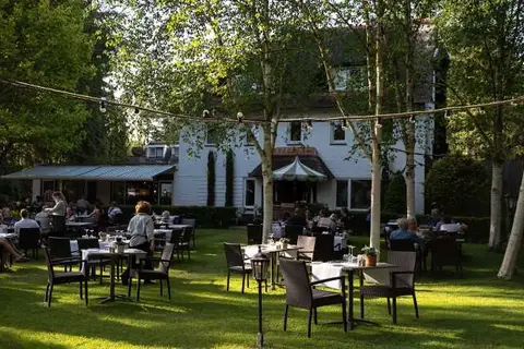 Witte Berken Natuurhotel in Epe — foto 6