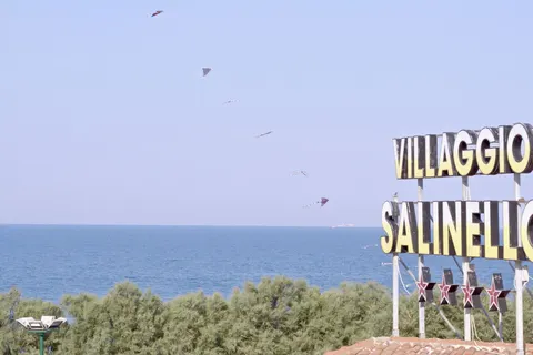 Camping Salinello foto 17