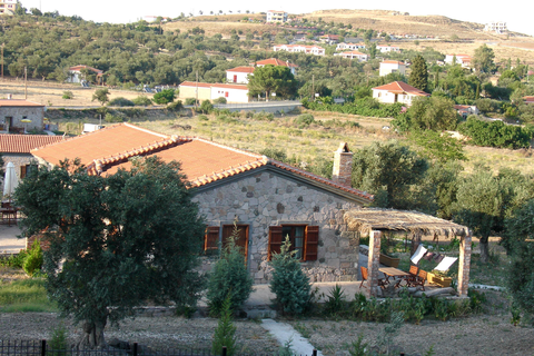 Appartementen Villa's Elpiniki foto 13