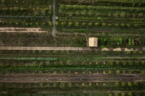 Craveiral Farmhouse foto 24