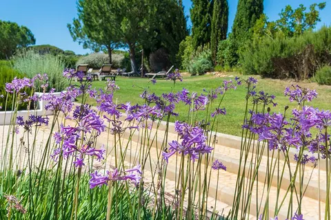 Quinta do Mel in Albufeira — foto 16