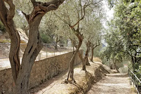 Bagni di Pisa Palace & Thermal Spa in San Giuliano Terme — foto 27