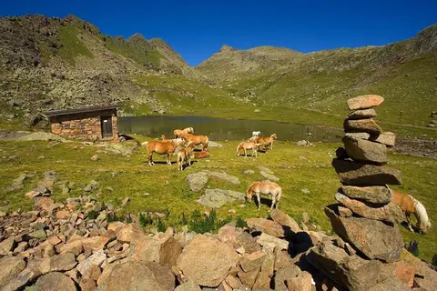 Hotel Alpine Mugon in Trente — foto 10