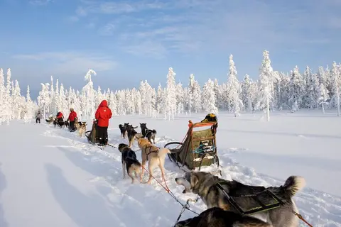Polar Star Apartments in Levi, foto 3