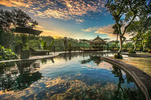Nandini Jungle Resort & Spa in Payangan — foto 2
