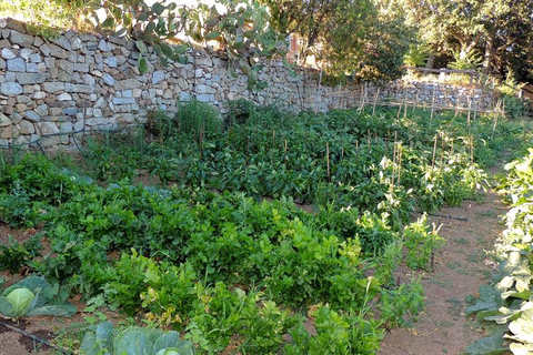 Hotel Su Lithu foto 14