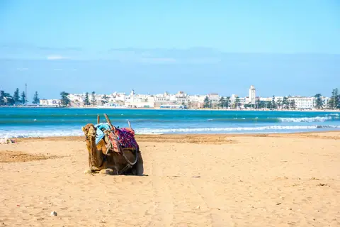 De grote Marokko rondreis in Marokko, foto 33