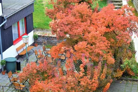 Hotel Simonis foto 18