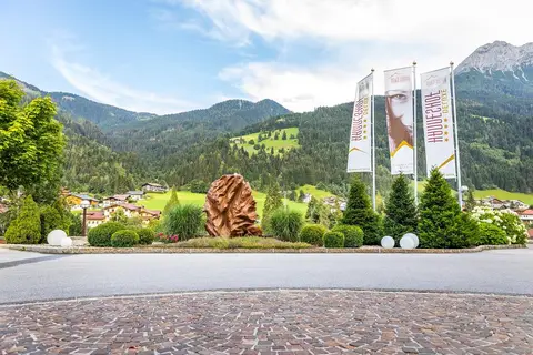 Der Hanneshof Das Montana in Kleinarl, foto 4