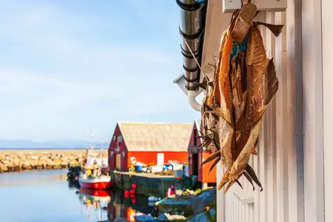 Ontdek Tromsø, Lofoten & Vesterålen in Noorwegen — foto 2