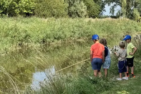 Camping De Molenhoek in Kamperland — foto 3