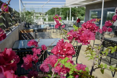 Ivory Hotel in Theologos, foto 16