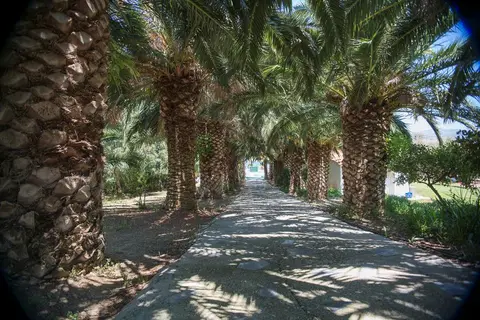 Clara Hotel in Πέτρα — foto 5