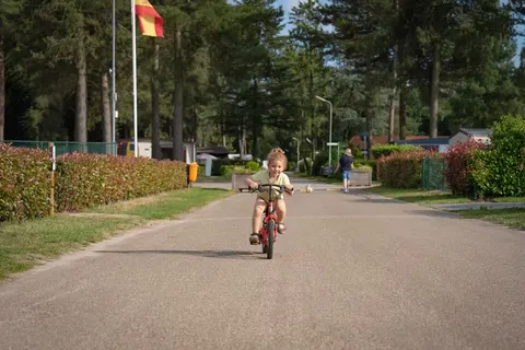 Camping Tulderheyde foto 4