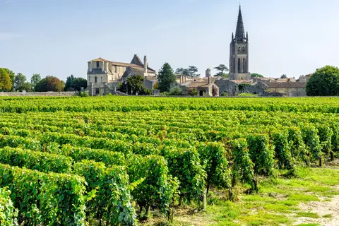 Dordogne, wijn en Bordeaux in Calviac-en-Périgord