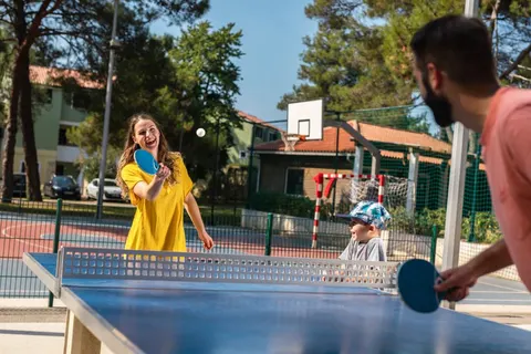 Vakantiepark Stella Plava Laguna foto 4