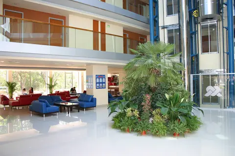 Hotel Marina Palace Affiliated by Meliá in Riviera Blue, foto 22