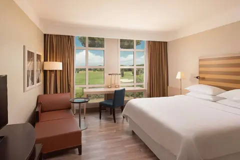 Sheraton Parco de Medici Rome Hotel in Rome, foto 14