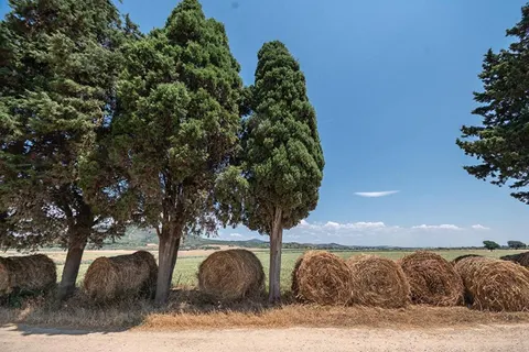 Camping Costa D Argento foto 30