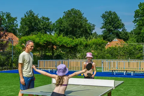 Vakantiepark Reestervallei in IJhorst — foto 21
