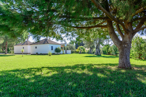 Appartementen Pedras da Rainha foto 8