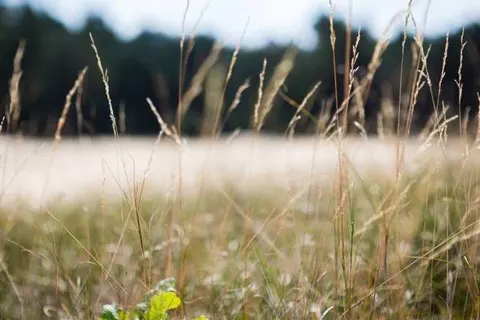 Buitenplaats de Bergse Bossen foto 32
