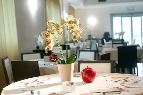 AS Hotel Sempione Fiera in San Vittore Olona, foto 27
