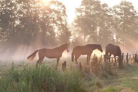 Het Heerengoedt in Ambt Delden, foto 7