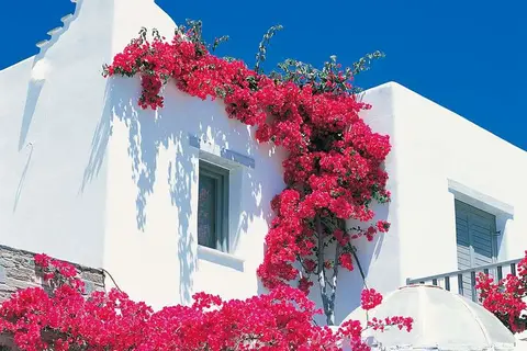 Yria Boutique Hotel & Spa in Sarakiniko, foto 10