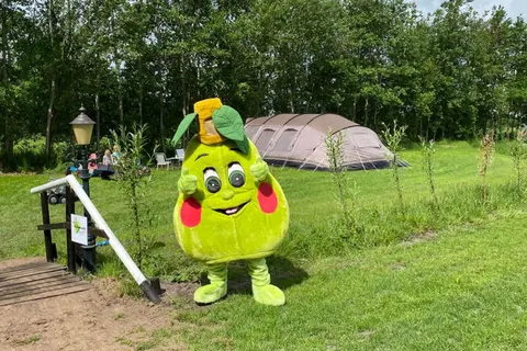 Camping De Toffe Peer foto 3