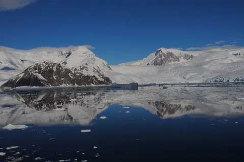 Expeditiecruise Antarctica per m/v Hondius in Cruisereizen — foto 11