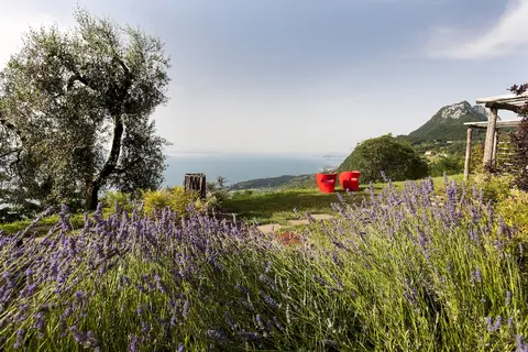 Lefay Resort & Spa Lago di Garda in Gargnano — foto 22