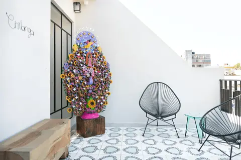 La Palomilla Bed & Breakfast in La Paz, foto 12