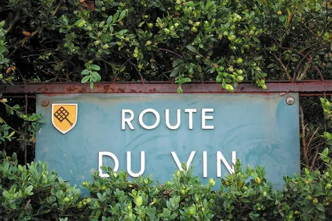 Zwarte Woud, de Elzas en Vogezen, Endingen foto 14