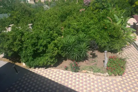 Aristotelis in Aristotelis, foto 14