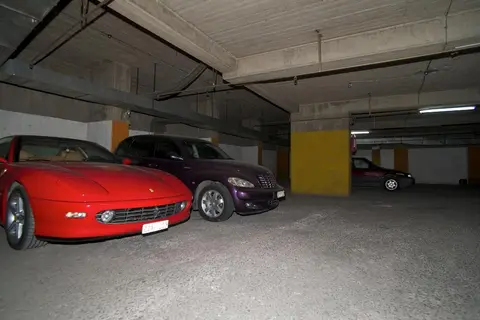 Anemoni in Piraeus — foto 13