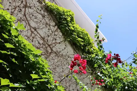 Olympic Kosmas Hotel in Δημοτική Ενότητα Παλλήνης — foto 14