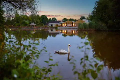 Center Parcs Limburgse Peel in America — foto 23