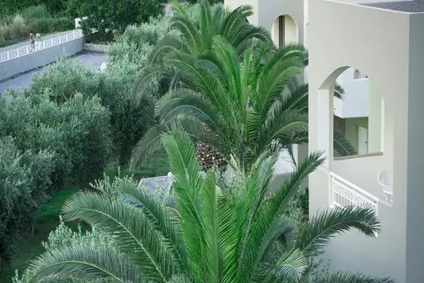 Vardis Olive Garden in Georgioupolis — foto 19
