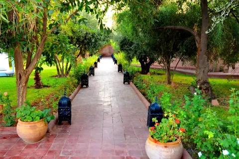 Hotel La Maison des Oliviers in Tassoultante — foto 22