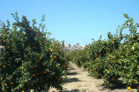 Leonidas Village Houses in Goudi — foto 13