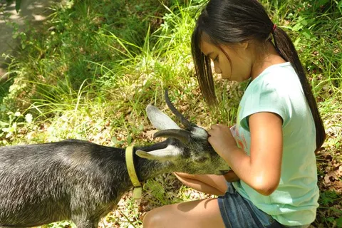 Camping L Évasion foto 15