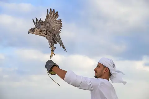 Anantara Sir Bani Yas Island Al Yamm Villa Resort in صير بني ياس — foto 9